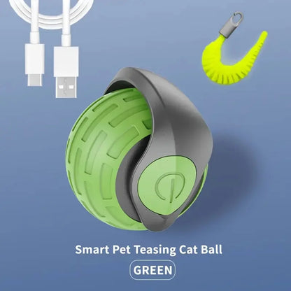Smart Cat Ball Interactive