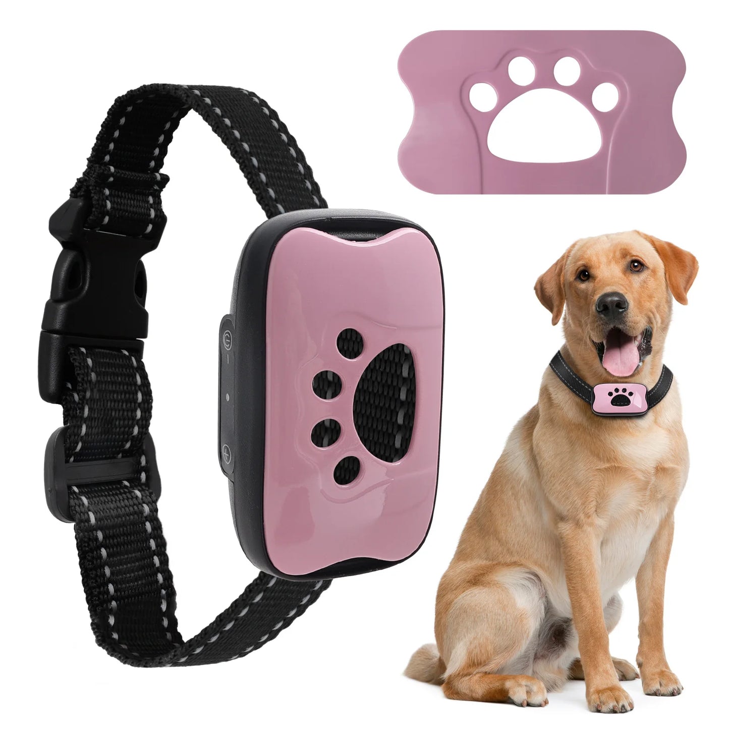 Smart Dog Training Collar