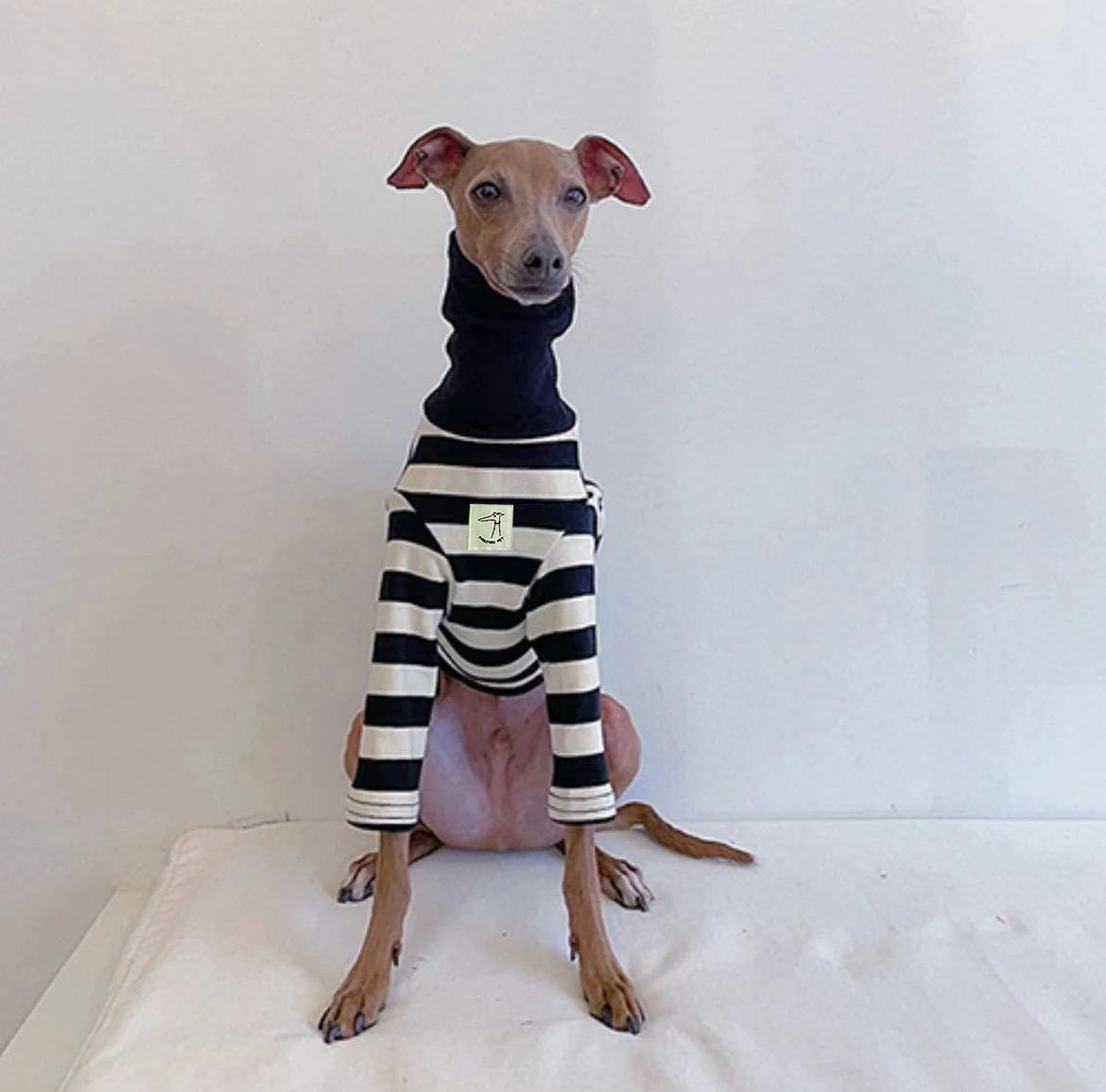 Schwarz-weiß gestreiftes Hundeshirt mit hohem Kragen