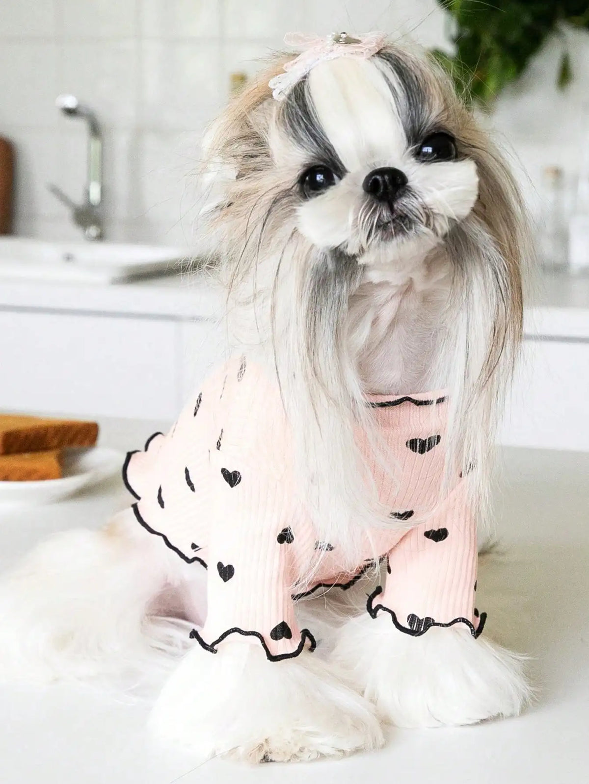 Heart-Print Waffle Dog Shirt with Ruffle Edges