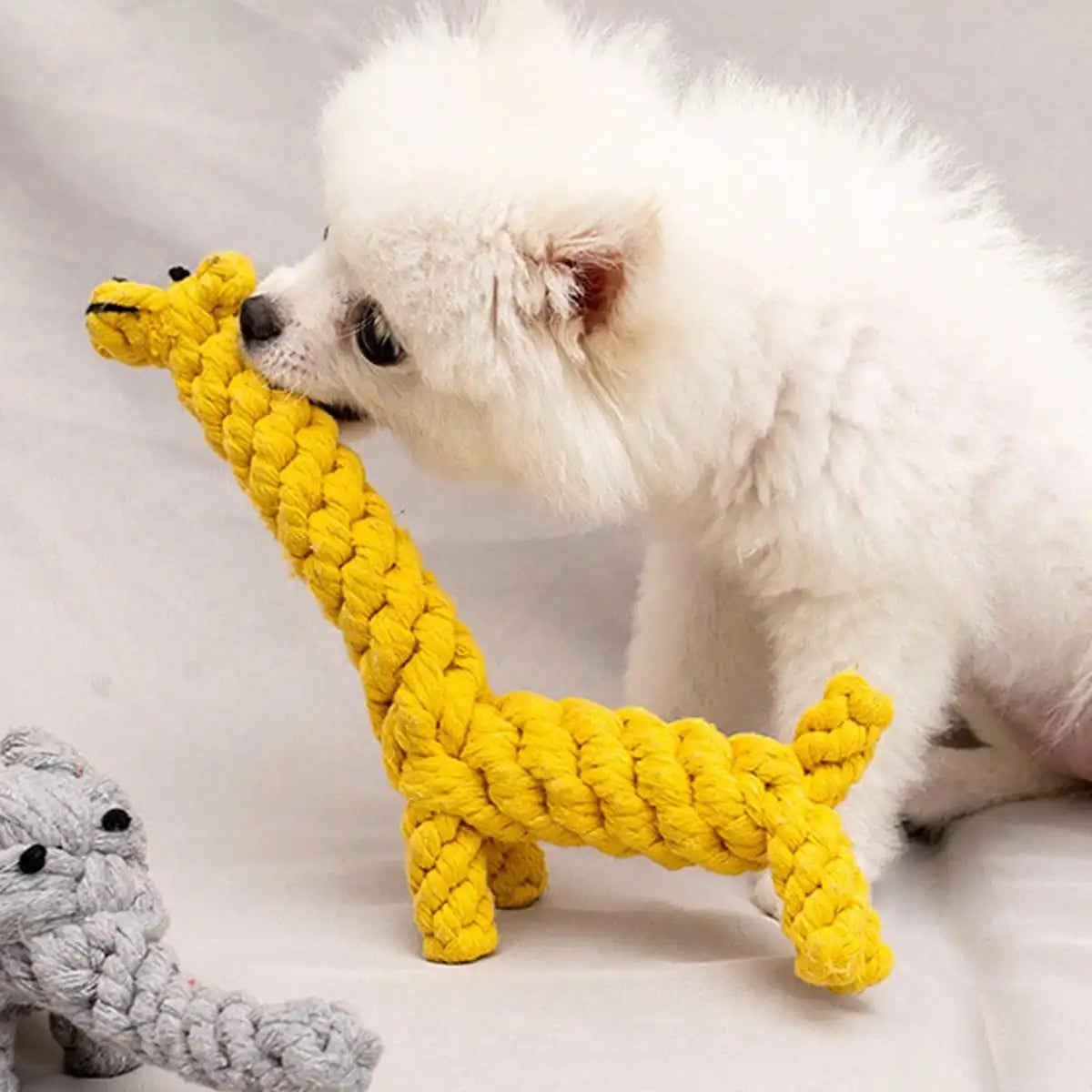 Handwoven Cotton Rope Dog Toy