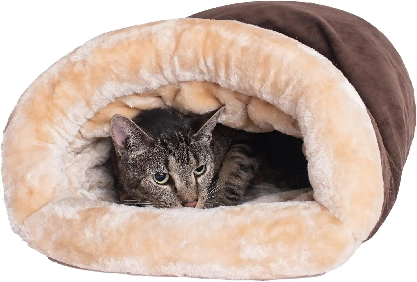 Winter Cat Sleeping Warm Bed
