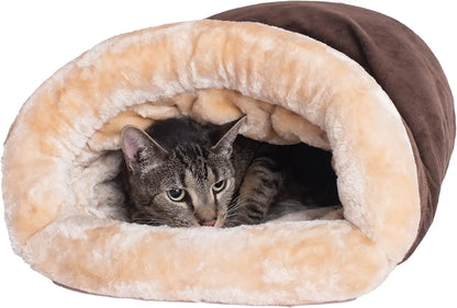 Winter Cat Sleeping Warm Bed