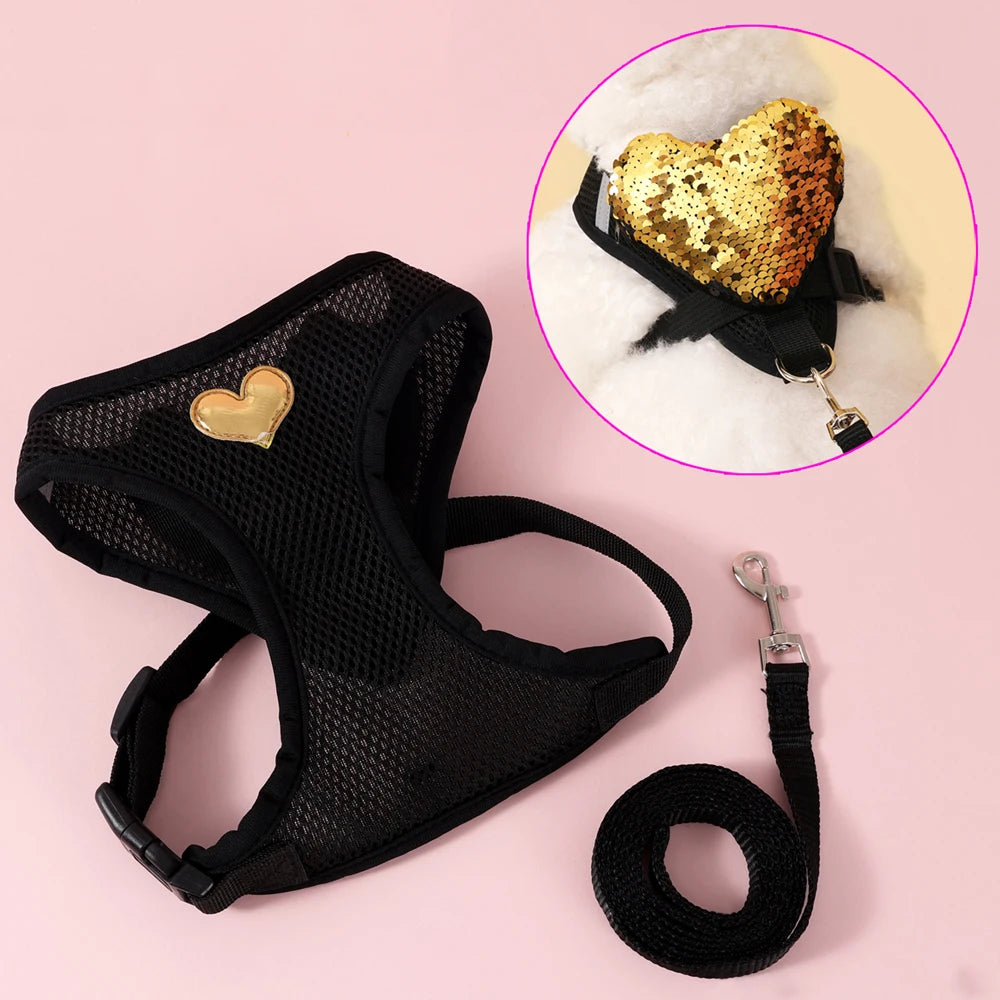 Butterfly Cat Harness Set