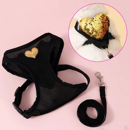 Butterfly Cat Harness Set