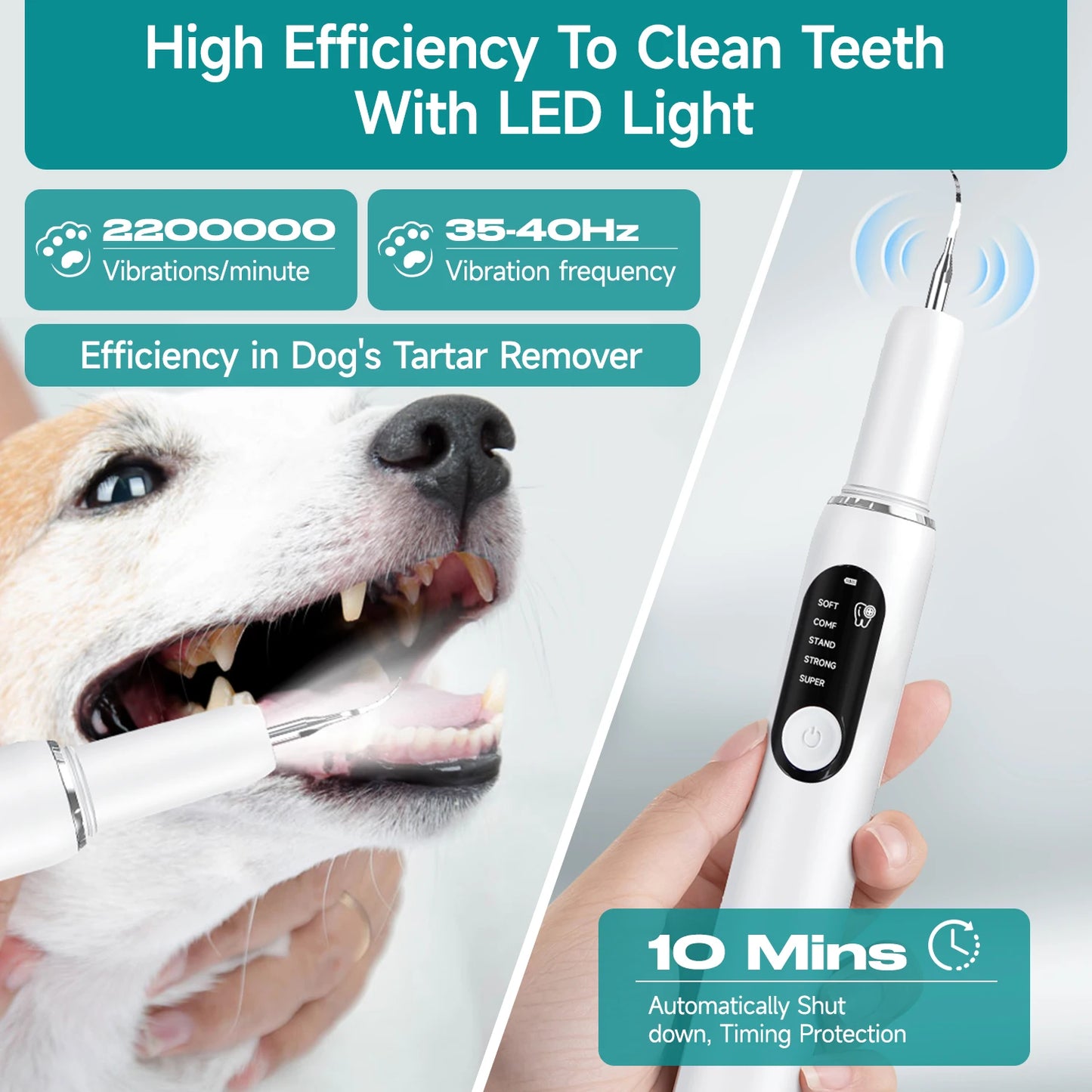 Nettoyeur dentaire à ultrasons pour animaux de compagnie