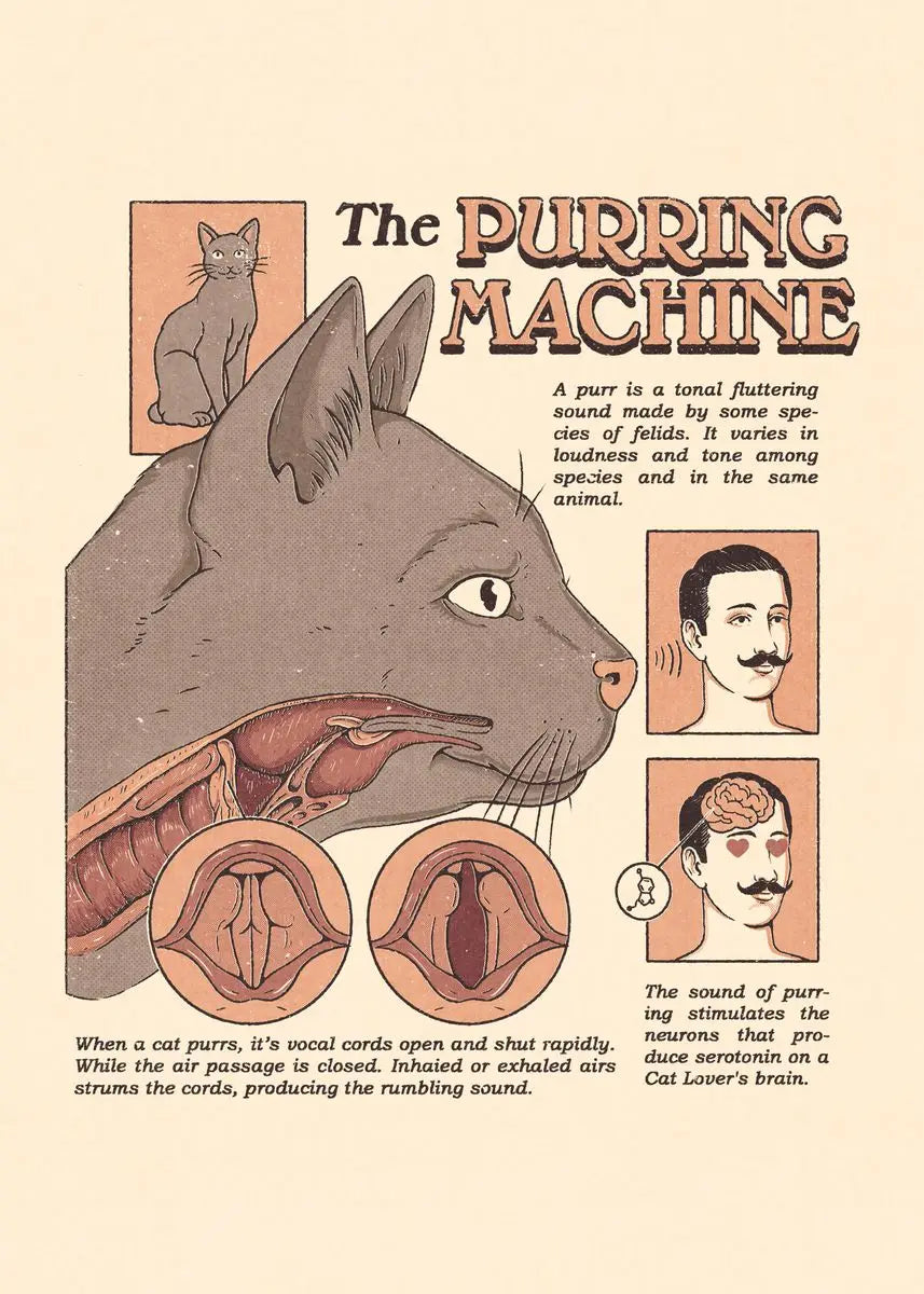 Cat Vintage Poster Tarot