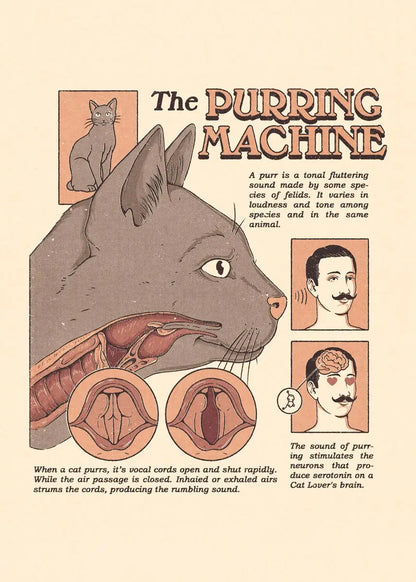 Cat Vintage Poster Tarot