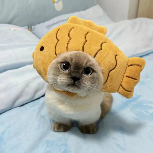 漫画の猫の帽子の魚の形