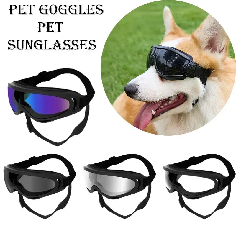 Óculos para cães de estimação