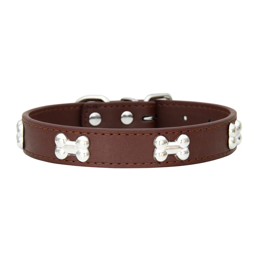 Colorful Dog Collar with Bone Studs