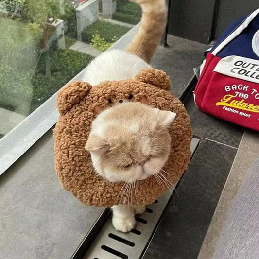 Cat Headband Collar for Cats