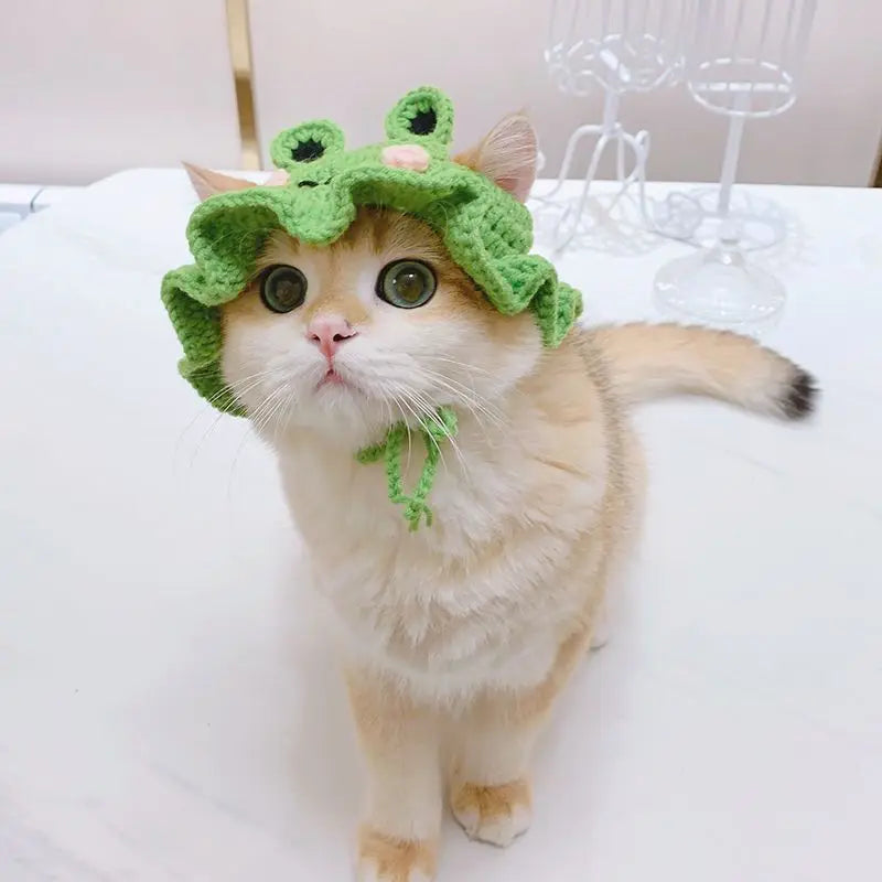Chapeau de chat d'hiver au crochet mignon