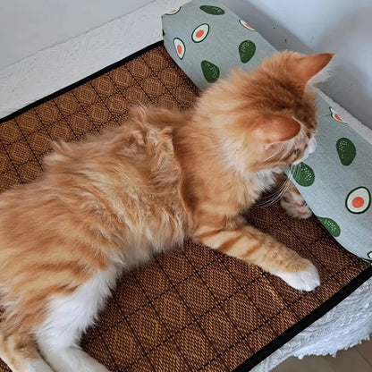 Cat Cooling Mat Sleeping