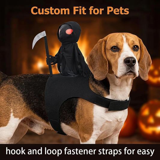 Halloween Knight Costume for Dogs – Spooky Rider Design