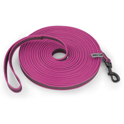 Heavy Duty Nylon Dog Leash