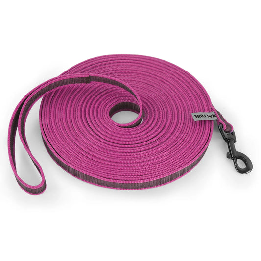 Heavy Duty Nylon Dog Leash