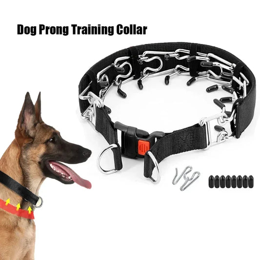 Dog Prong Training Collar