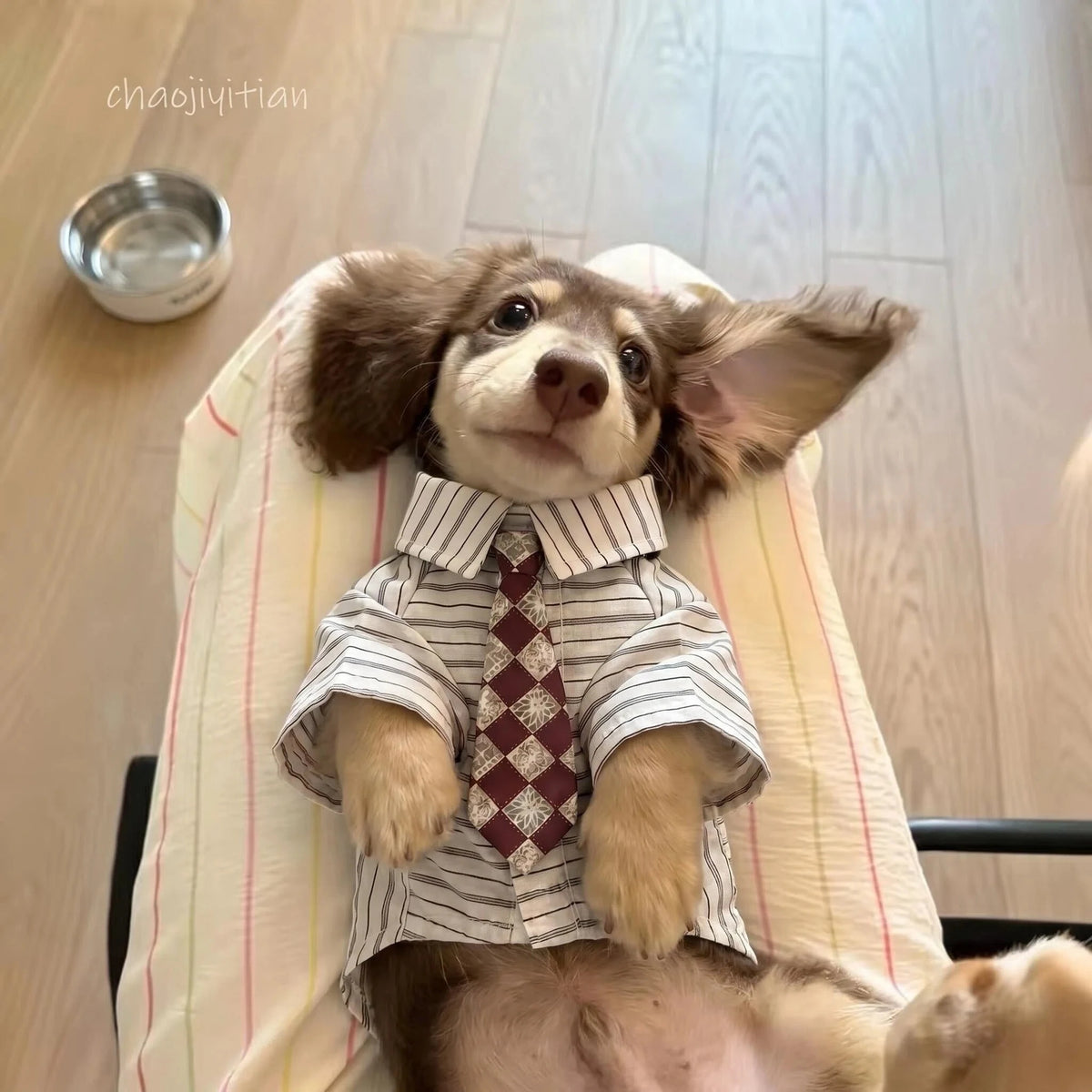 Plaid Pet Shirt with Diamond-Pattern Necktie
