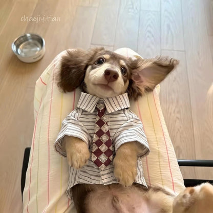 Plaid Pet Shirt with Diamond-Pattern Necktie