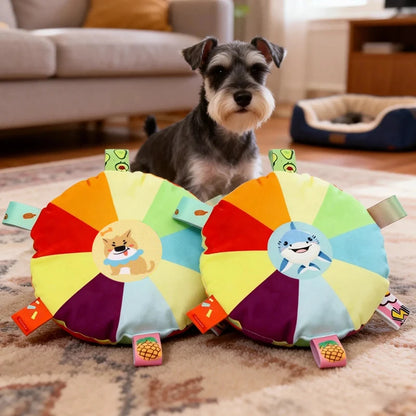 Rainbow Plush Bell Disc Dog Toy