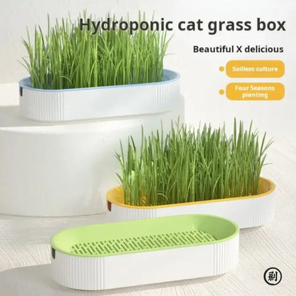 Hydroponic Cat Grass Growing Kit