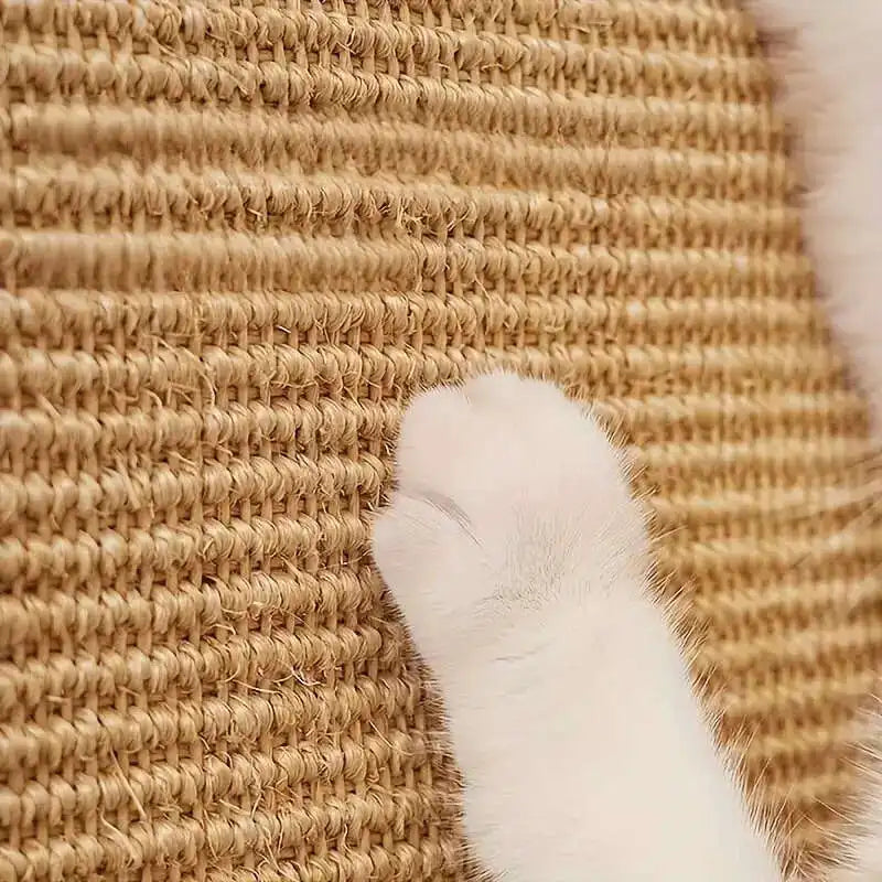 Cat Scratching Board