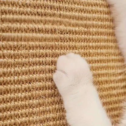 Cat Scratching Board