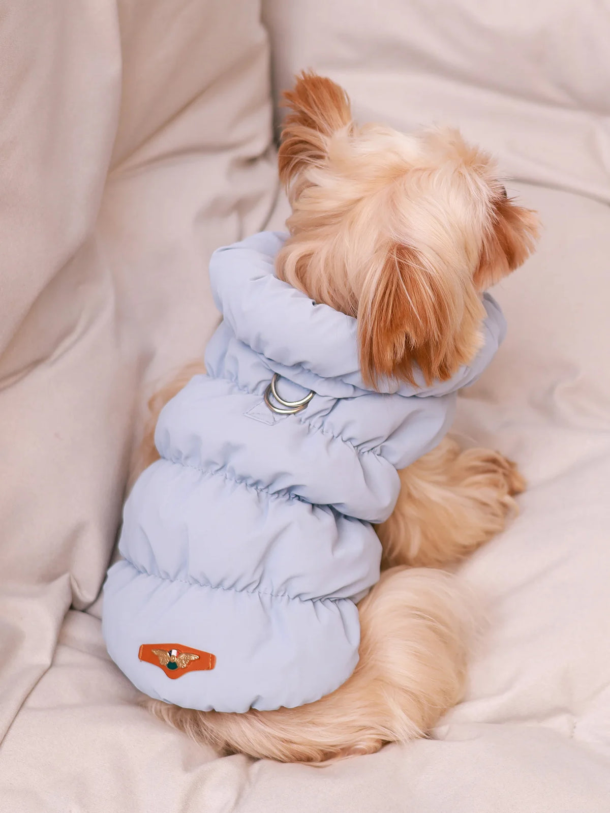 Puffer-Style Dog Jacket for Autumn and Winter