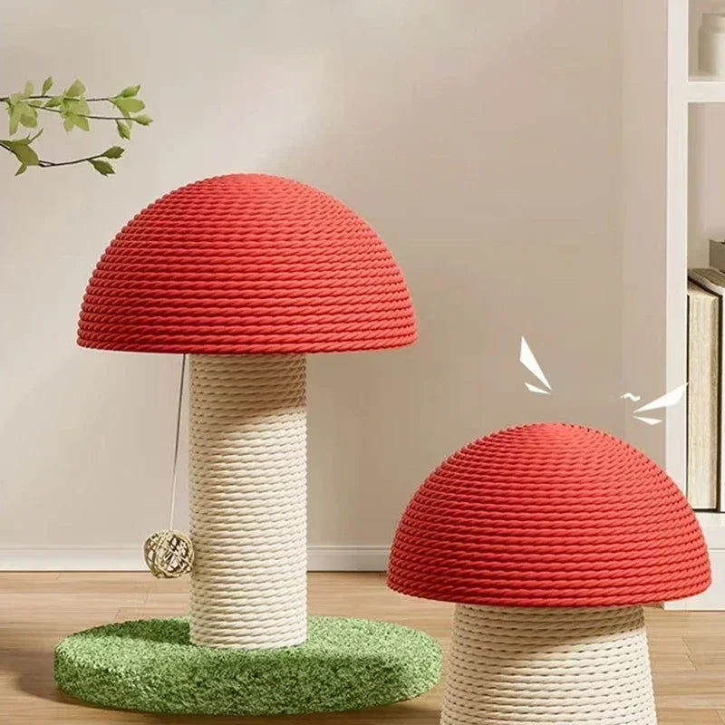 Mushroom Cat Scratch