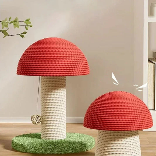 Mushroom Cat Scratch