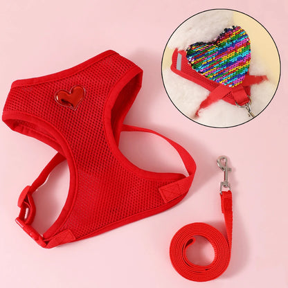 Butterfly Cat Harness Set