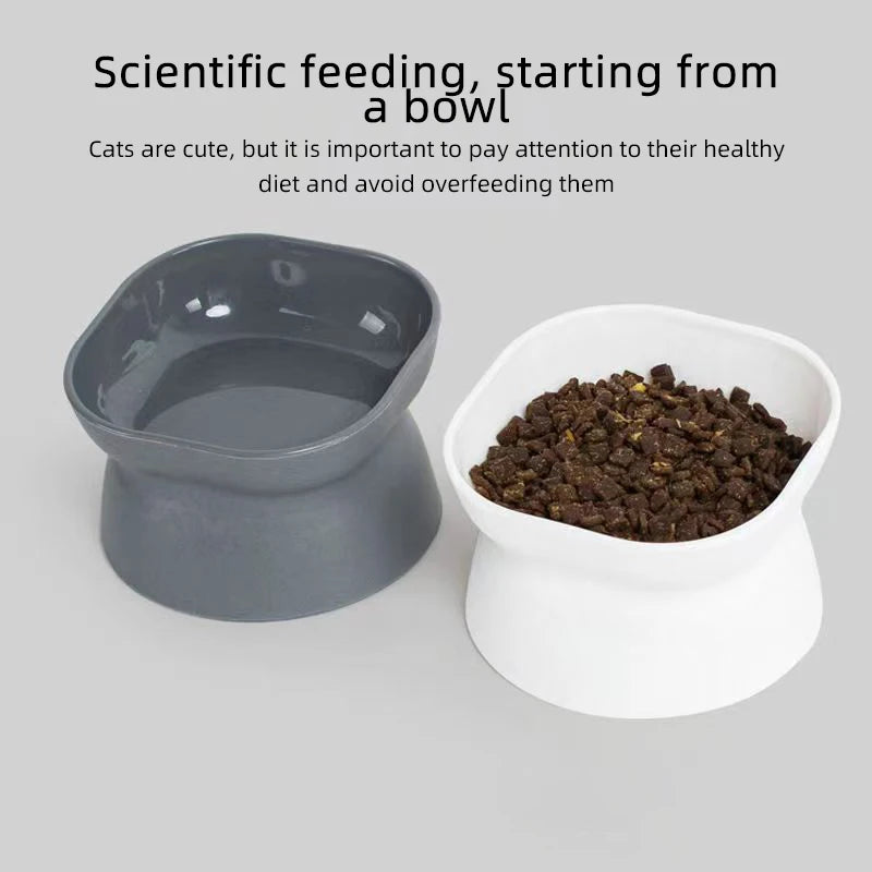 Raised Cat Food Bowl