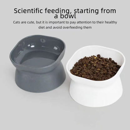 Raised Cat Food Bowl