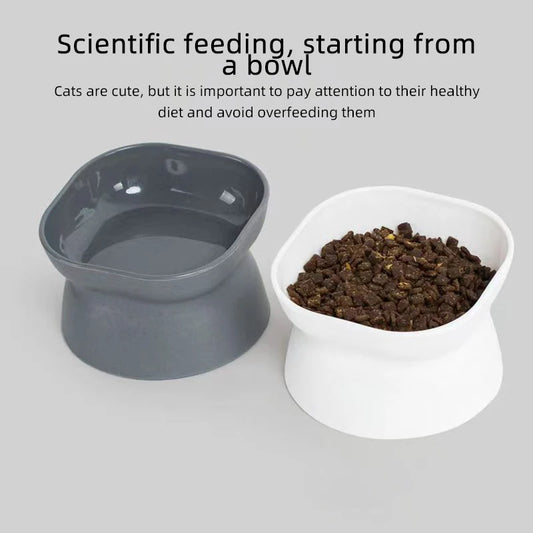 Raised Cat Food Bowl