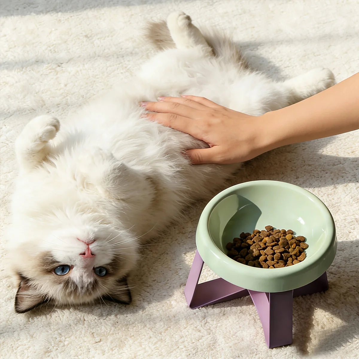 Tilted Anti-Vomiting Elevated Feeder