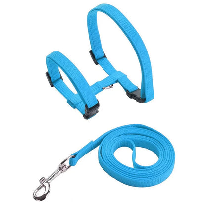Collier de harnais anti-évasion pour chat