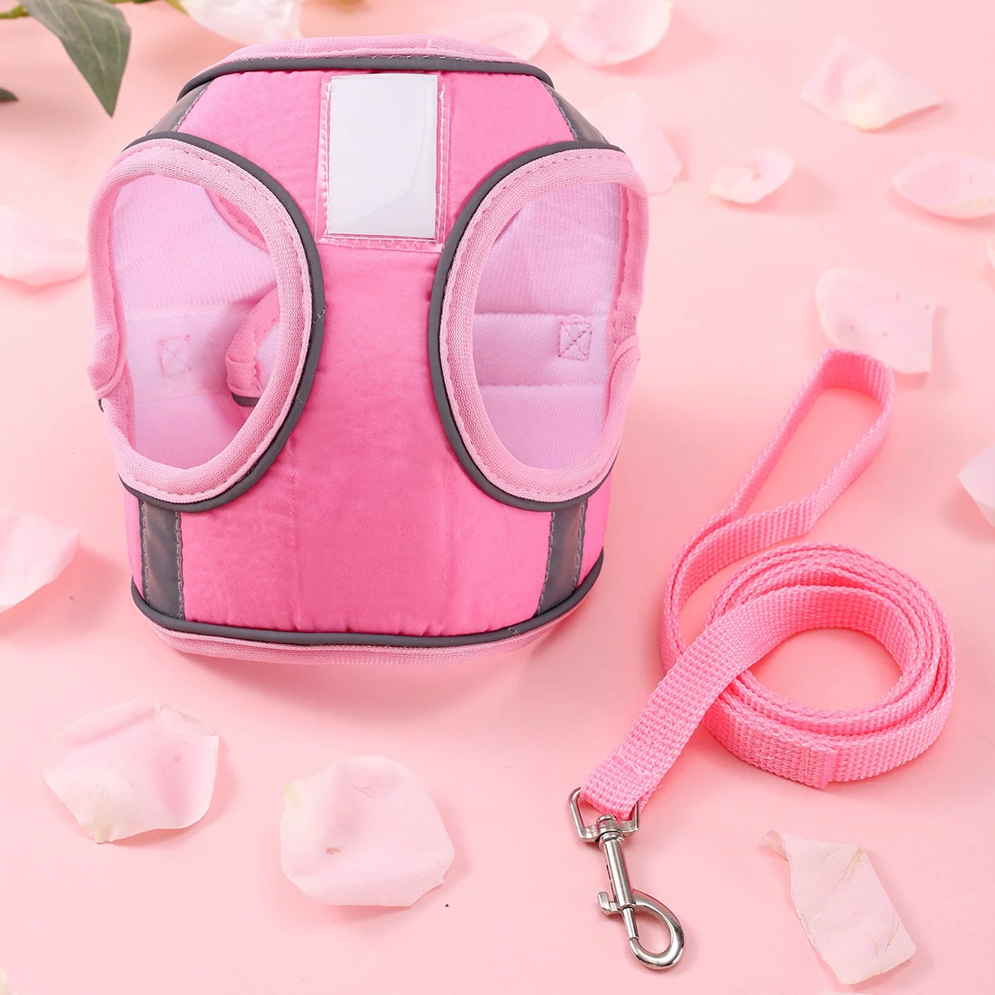 Butterfly Cat Harness Set