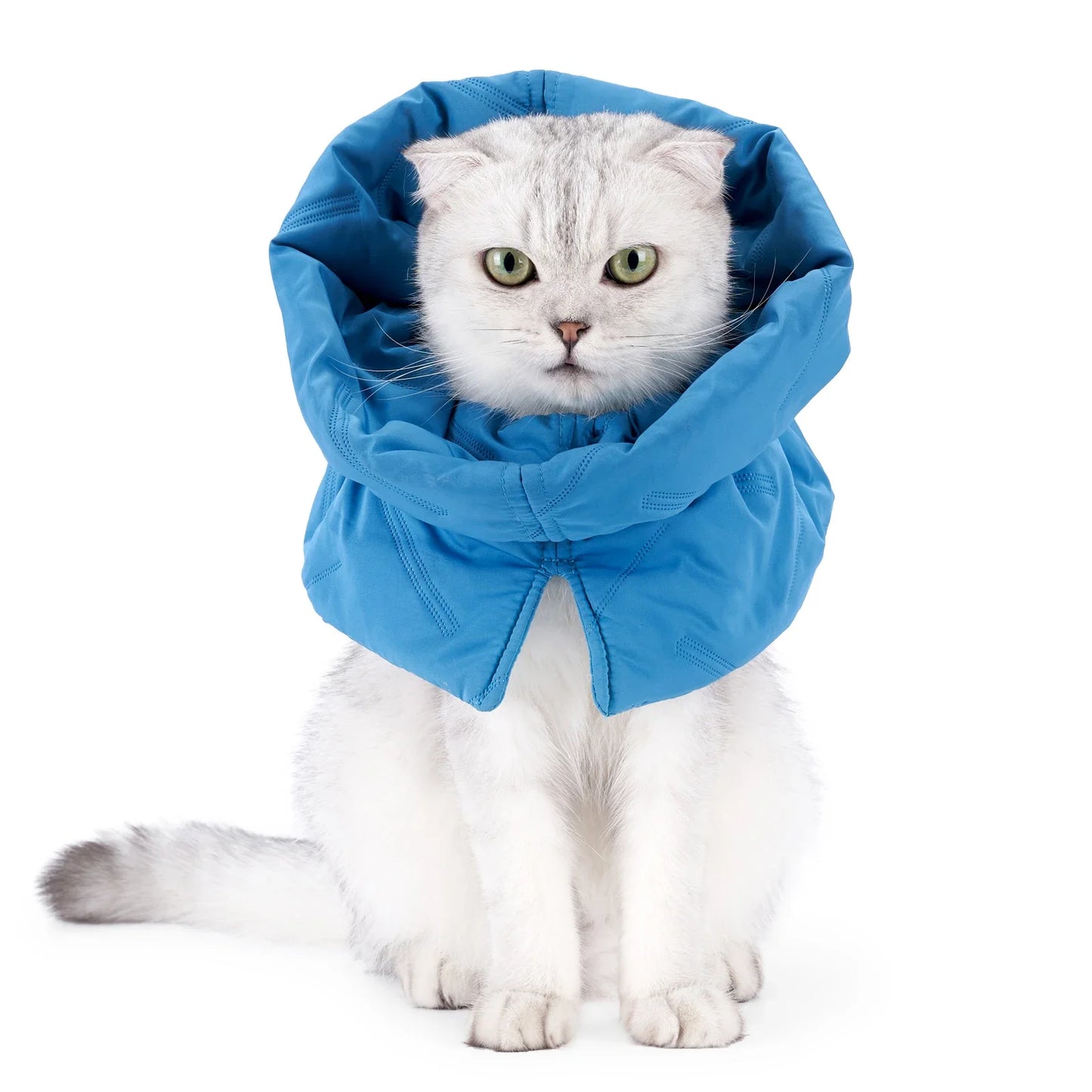 Adjustable Recovery Cat Collar