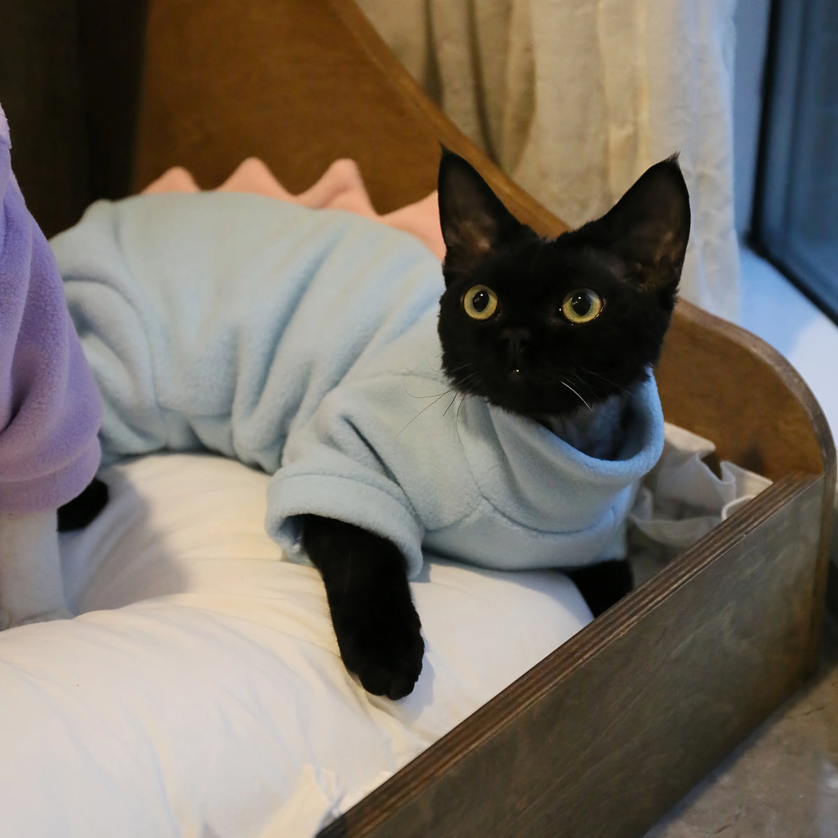 2. Macacão de fleece polar para gatos, de gola alta e cobertura completa, roupa quente para pets no outono, muito vendido, para descanso no quarto e sono noturno, para gatos sem pelos e de pele fina