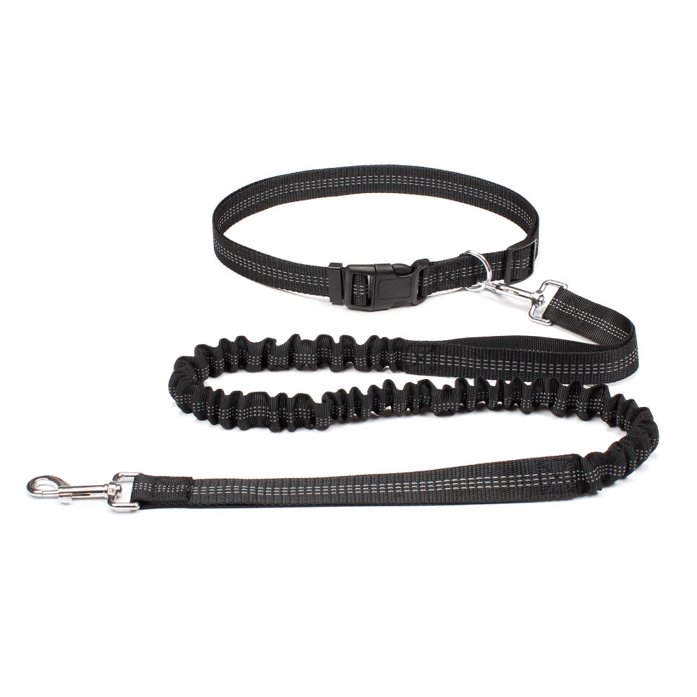 Dog Dad Pro Hands-Free Leash Set