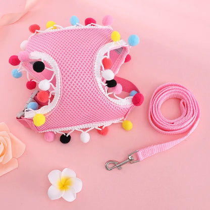 Butterfly Cat Harness Set