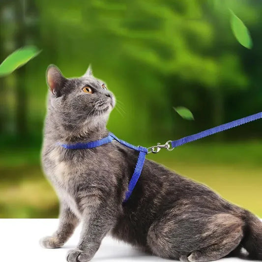 Cat Escape-Proof Harness Collar
