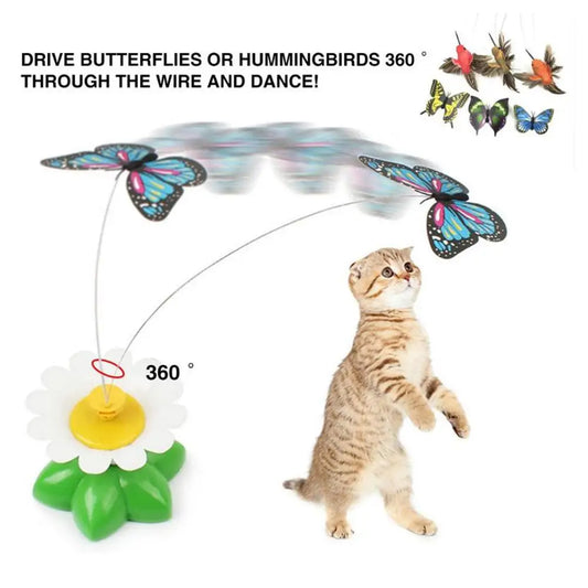 Flutter Bloom Interactive Cat Toy