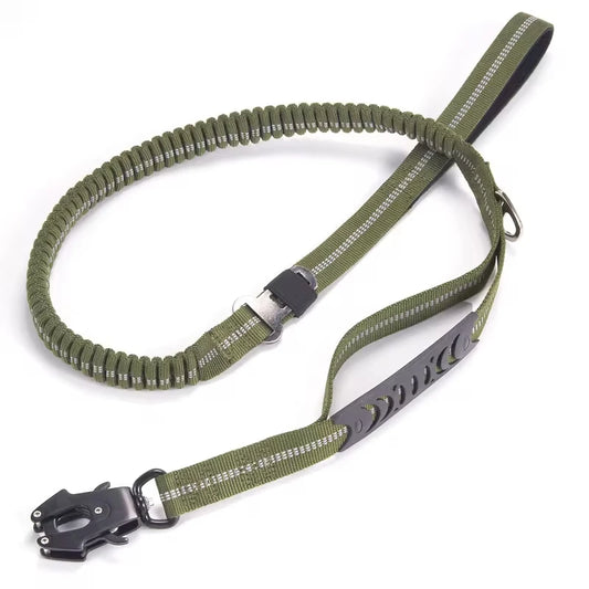 Shock Absorbing Bungee Dog Leash