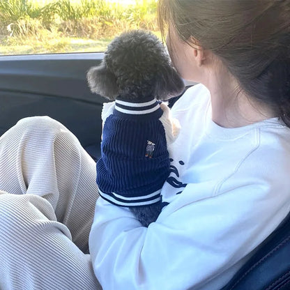 Veste de baseball pour animal, style velours côtelé bleu