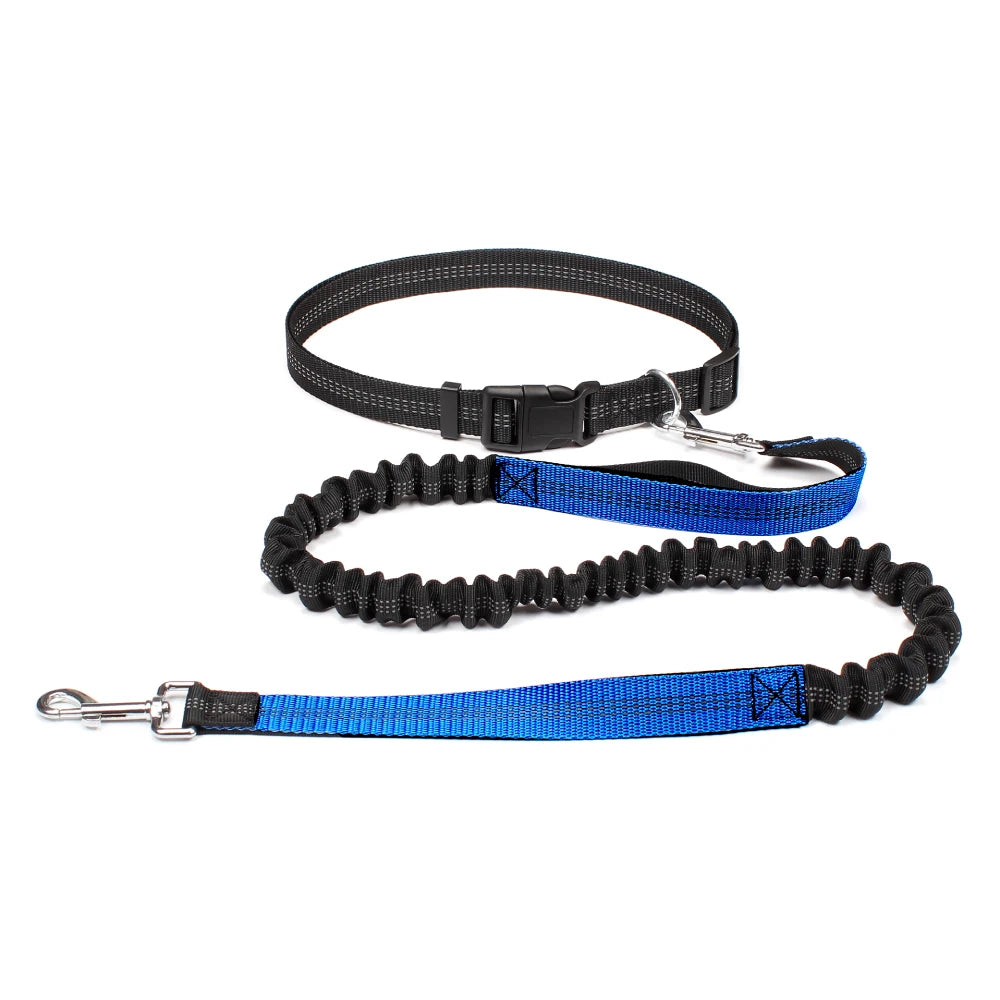 Dog Dad Pro Hands-Free Leash Set