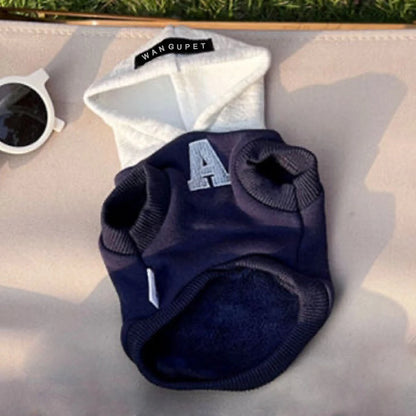 Colorblock Dog Hoodie with Varsity Letter Detail
