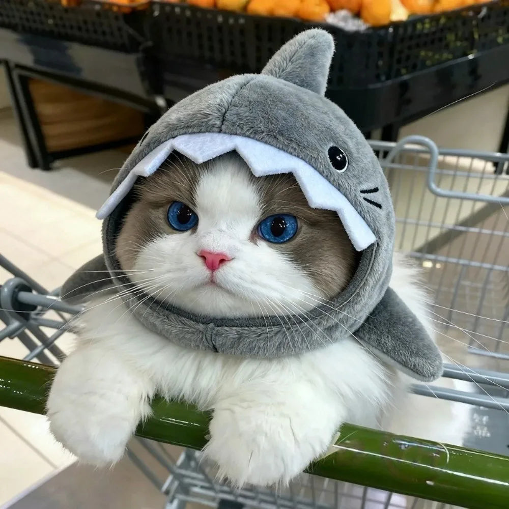 Shark Guardian Pet Headwear
