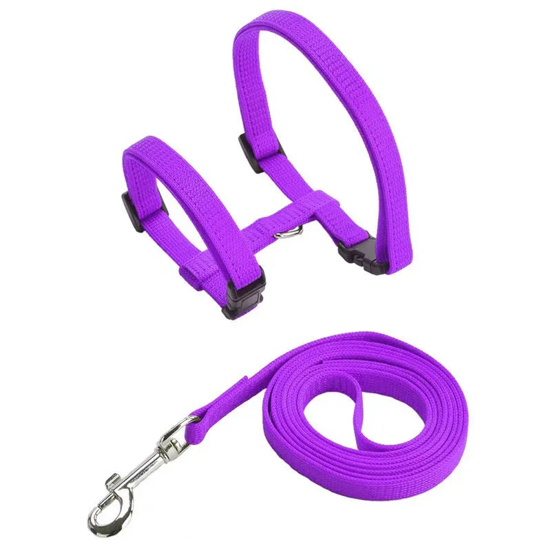 Collier de harnais anti-évasion pour chat